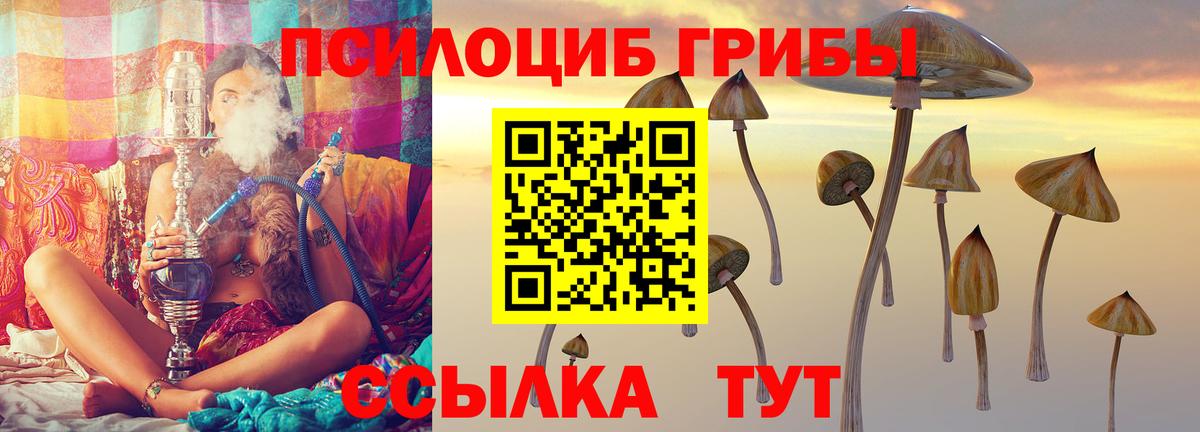 Галлюциногенные грибы Psilocybine cubensis  Вход с VPN  Сосновоборск 