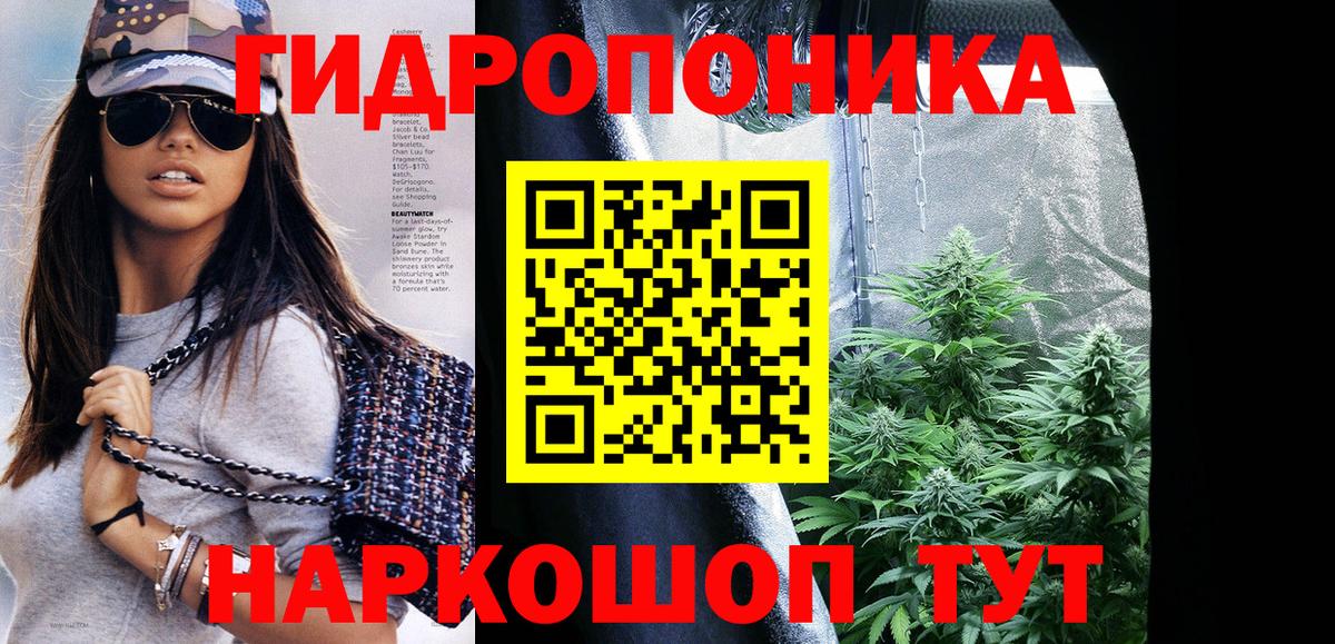Каннабис White Widow  МАРИХУАНА VHQ  Сосновоборск  Шишки марихуана конопля  Канабис SATIVA & INDICA  Вход с VPN 